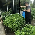 Lustra Garden טראבזון