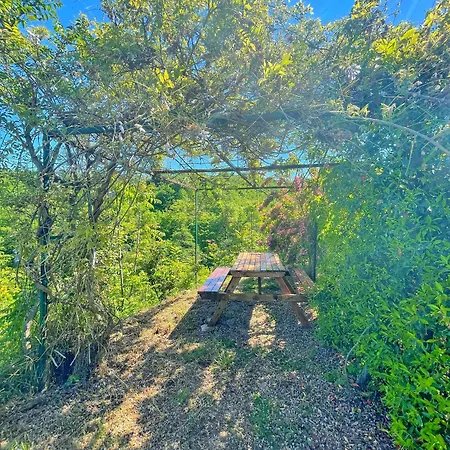 Lustra Garden Τραμπζόν