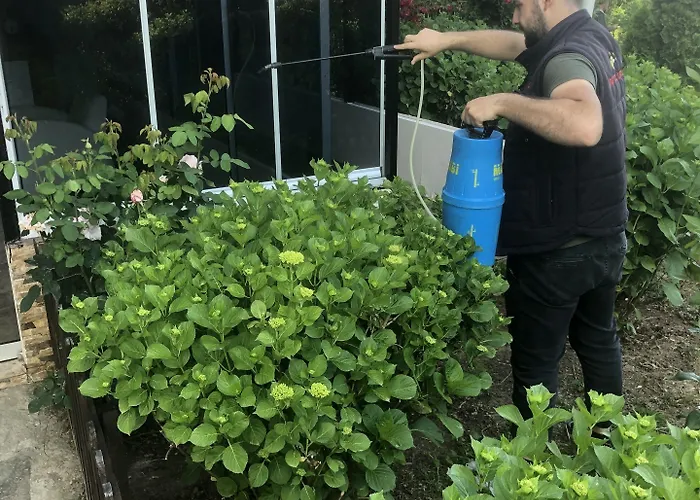 Lustra Garden Trabzon