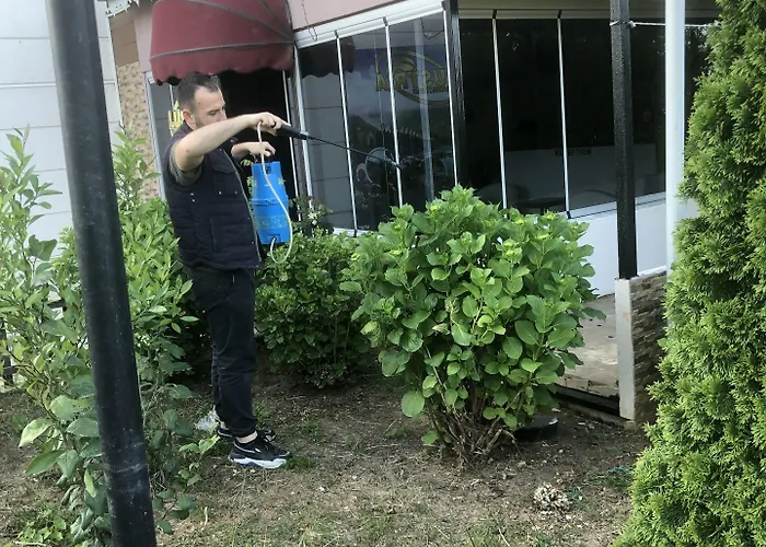 Aparthotel Lustra Garden *